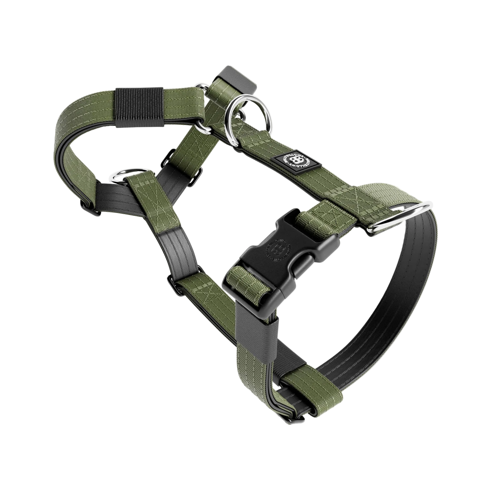 BullyBillows walking equipment including harness and lead options